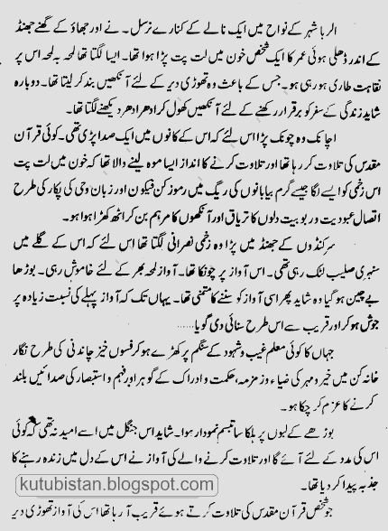 Sample page of the Urdu book Noor Ud Din Zangi