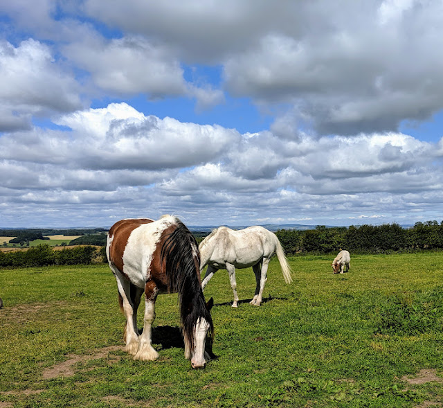 15 Things to do at Ford & Etal  - Hay Farm Heavy Horse Centre