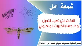 محاربة الآفات الزراعية الضارة