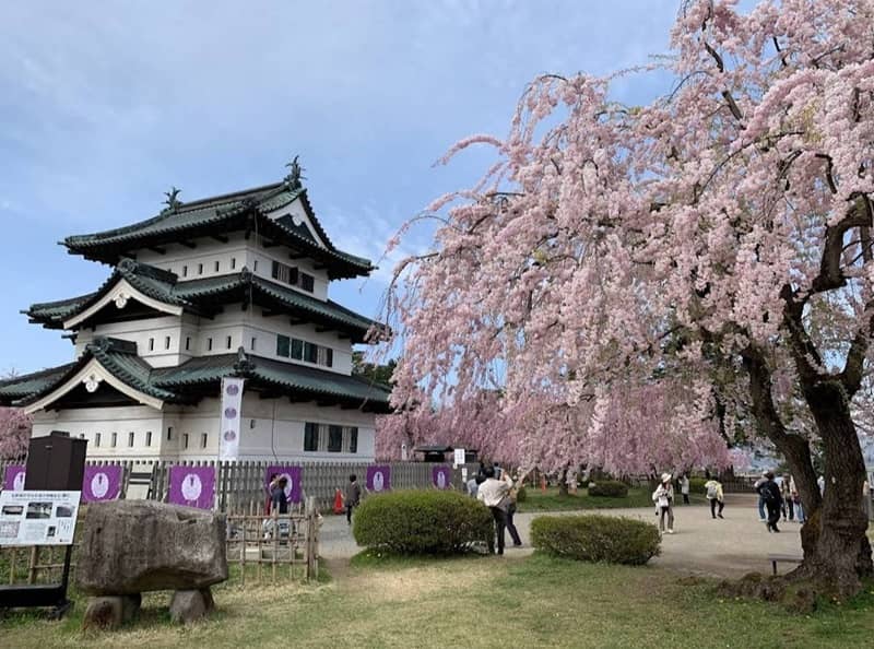 Hirosaki Castle - Japanese Castles You Must Visit in Hokkaido and Tohoku