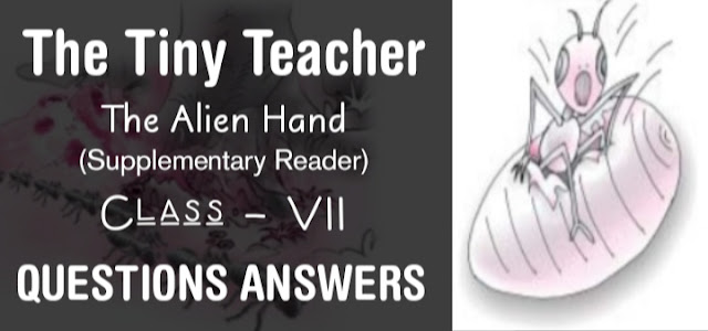 The Tiny Teacher class 7 NCERT Solutions (Supplementary Reader The Alien Hand)