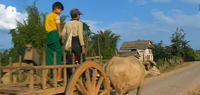 Ox Cart travel in Myanmar