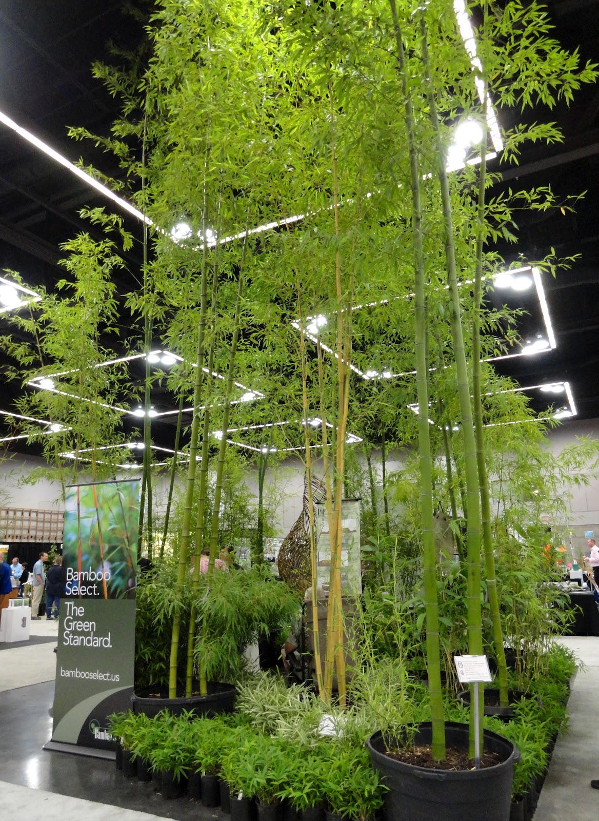 Bamboo Gardens booth title=