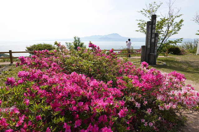 島根県松江市美保関町美保関 五本松公園