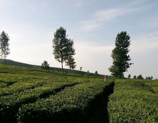 jalur pendakian gunung butak via Sirah Kencong