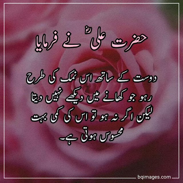 hazrat ali quotes in urdu for friends