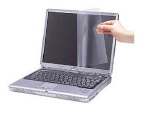 LCD protector