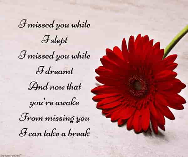 i miss you poem for boyfriend with flower