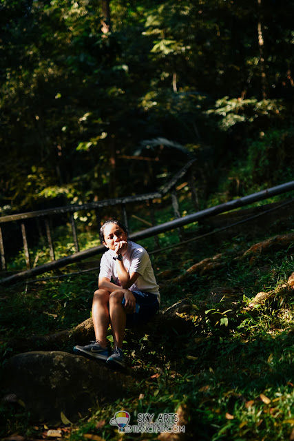 7 Things To Do In FRIM Kepong - Canopy Walkway, Jogging & Nature Trekking