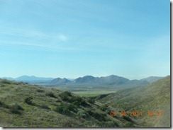 DSCN5246