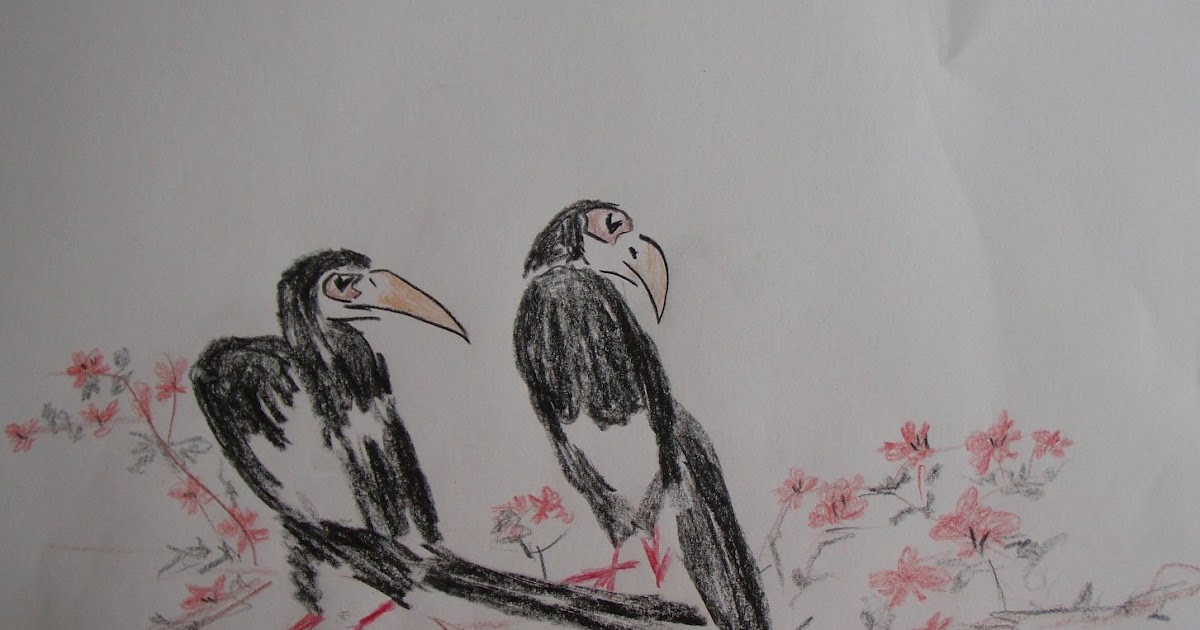 An Art Work A Day: Birds - colored pencil sketch 30x40cm