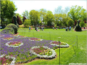 Pavo Real de Flores en el Dallas Arboretum & Botanical Garden