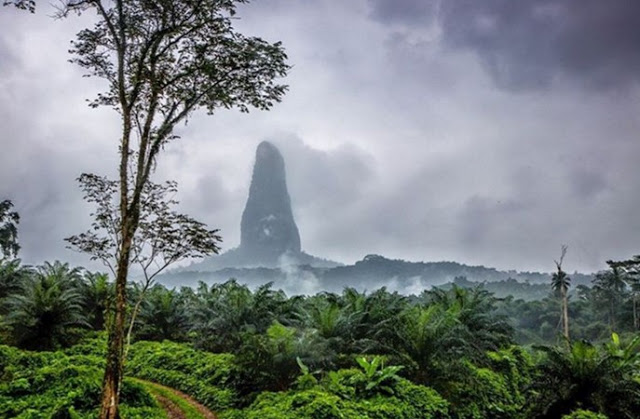 Apakah Ini Tempat Kediaman Raja King Kong?