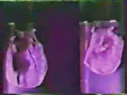 Real Pics Of Ufos