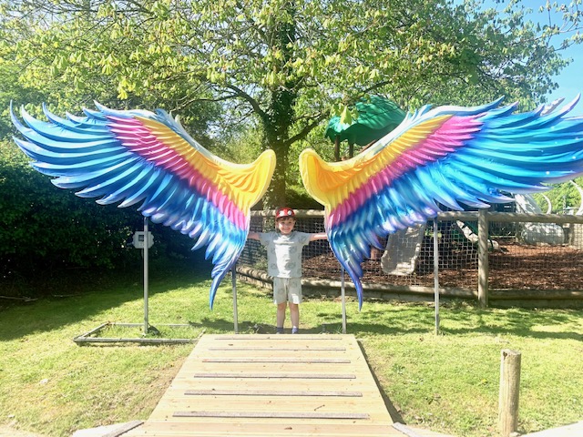 Boy standing for photo opportunity with brightly coloured wings