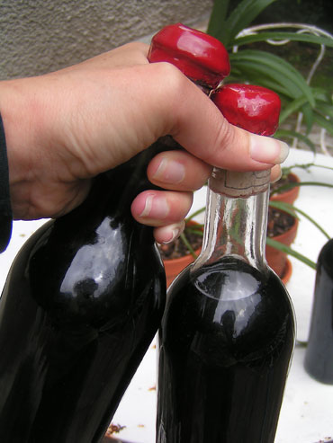 bouteilles de vin de cerisier