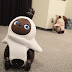 [Top 10] personal home Robots