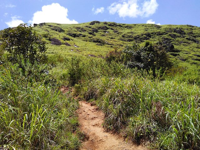 Chembra Peak Trekking 