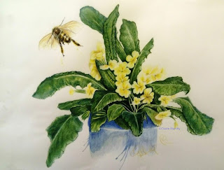 Honey Bee Flying : Detailed Coloured Pencil Drawing