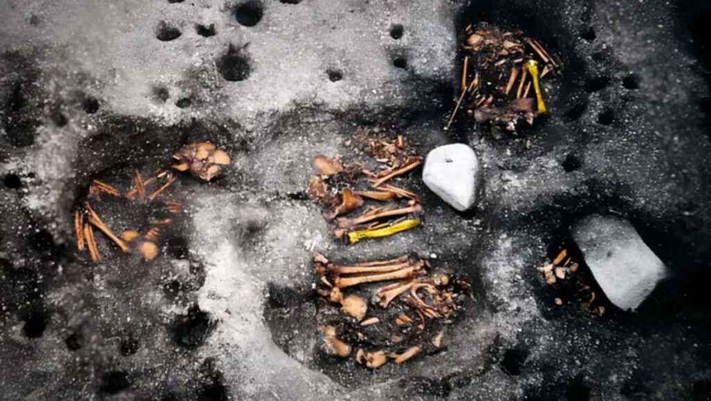 Αυτοί οι σκελετοί βρέθηκαν στον αρχαιολογικό χώρο Jabuticabeira II. Δύο από τα οστά επισημαίνονται με κίτρινο χρώμα για να απεικονίσουν την παρουσία DNA από ένα παθογόνο. [Credit: Dr. Jose Filippini]