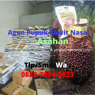http://www.distributorpupuknasa.com/2020/02/agen-pupuk-sawit-nasa-di-asahan.html