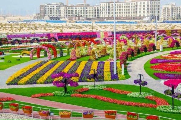 Tham quan vườn hoa xinh đẹp của Dubai