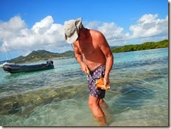 Saline, Petit Mart and Nevis 009