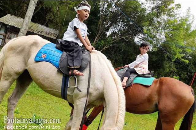 mini zoo exotarium jogjakarta