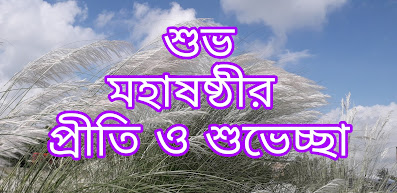 subho maha sasthi picture 2023, subho sasthi bengali wishes image download