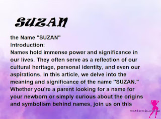 meaning of the name "SUZAN"