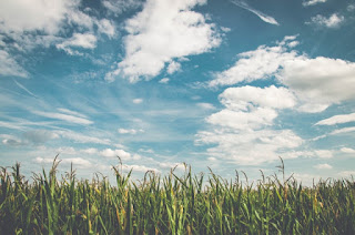 Wolkenleicht, worte, kommen vom herzen, wärme, sonne, liebe, frühling, lyrik, foto