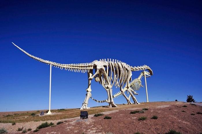 North of China on the Sino-Mongolian border, near the town of Erenhot (also known as Erlian), you will find the statues of two towering Brontosauruses. The two dinosaurs are located on either side of the main highway, their long necks stretching to the other, until the two dinosaur's mouth meet as if to share a kiss. Each dinosaur statue is 34 meters wide and 19 meters high. The span of the two together reaches 80 meters. The ground near the kissing couple is littered with many dozen smaller statues of dinosaurs of all shapes and sizes.