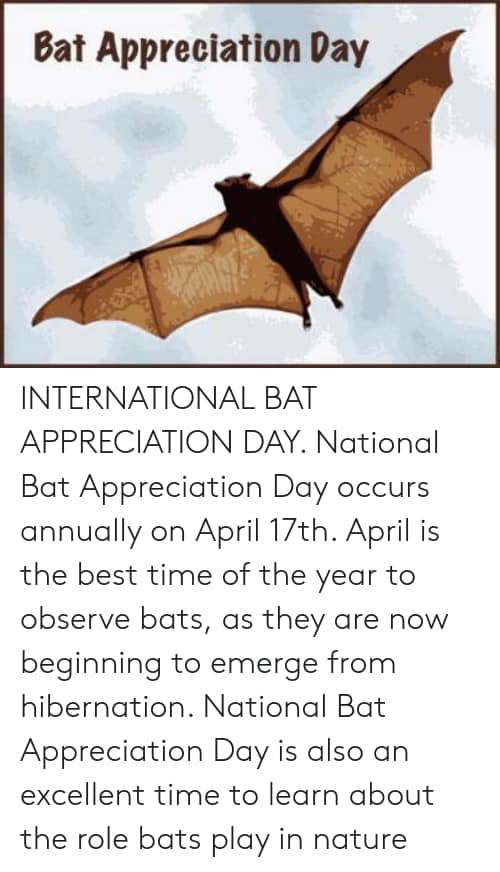 International Bat Appreciation Day Wishes Sweet Images