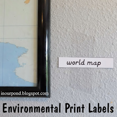 FREE Environmental Labels for the Home from In Our Pond