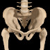 LA PELVIS