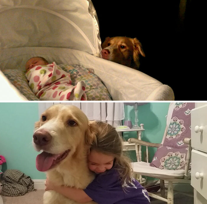 30 Heart-Warming Photos Of Dogs Growing Up Together With Their Owners - 3 Years Of Friendship