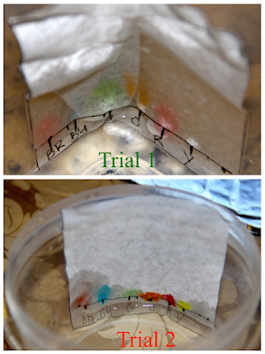 processing the chromatograph