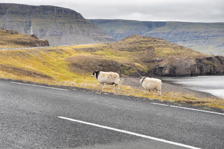 Vacances en Islande - road trip sur l'île