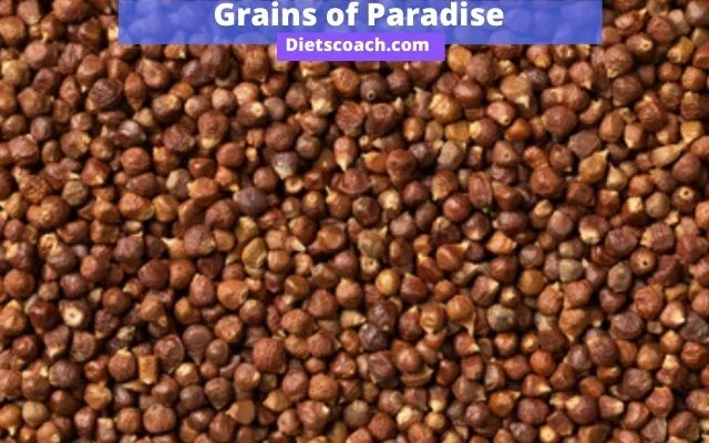 What are grains of paradise