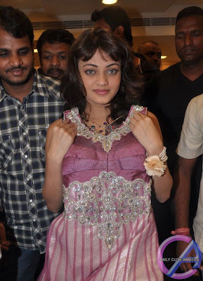 Cute_Actress_Sneha_Ullal