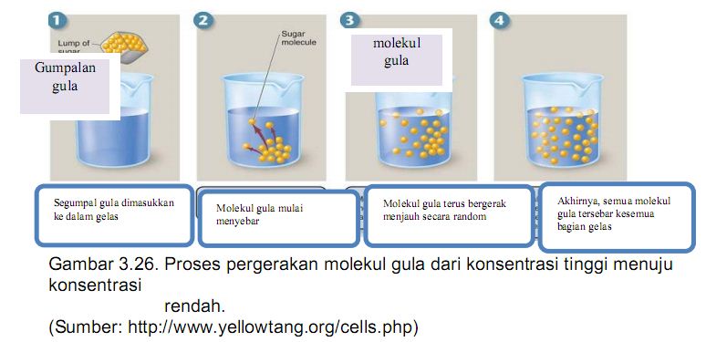 Pengertian Difusi  Sederhana Blog Pak Pandani