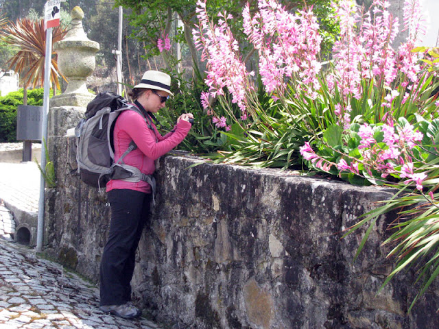 peregrina de Santiago fotografando flores