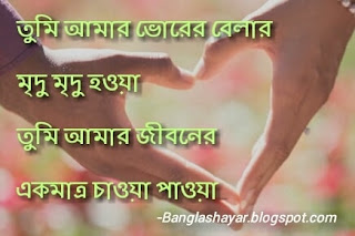 bengali love shayari download, bengali shayari download, bangla shayari photo, bengali shayari with picture, bangla premer shayari