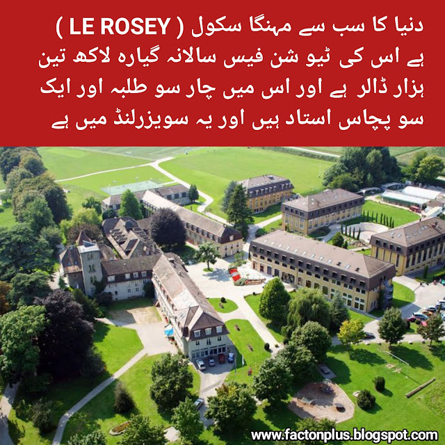 Top Interesting Facts About The World To Blow Your Mind in urdu