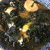 Spicy wakame soup.