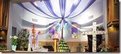 IMG_0660 - Copy