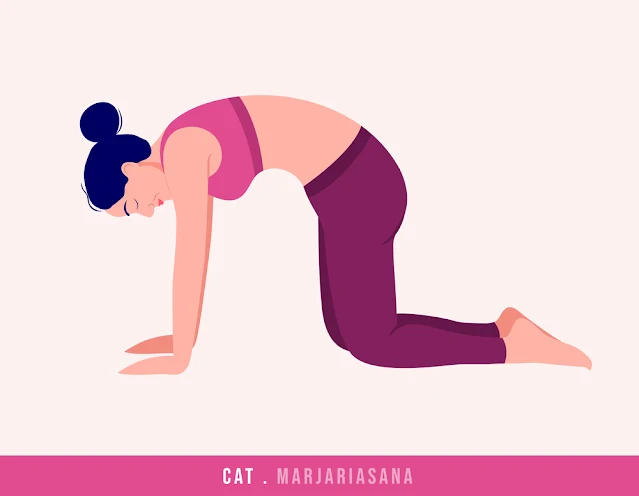 Marjariasana (Cat Pose)