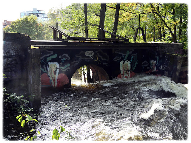 Stor vassføring i Akerselva ved Nedre foss i Oslo.