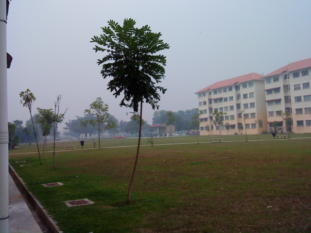 Keadaan Jerebu di Taman Tasik Utama Melaka  LaNuNsepet (*_^)™