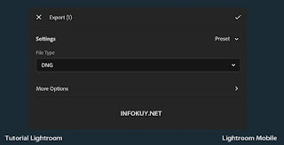 Cara Eksport Preset Lightroom Mobile #3